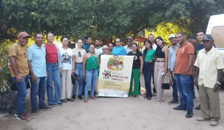 Agricultores do Semiárido baiano conhecem modelo de certificação orgânica participativa