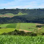 Epagri SC quer impulsionar a modernização do meio rural com base na integração entre inovação, conectividade no campo e sustentabilidade