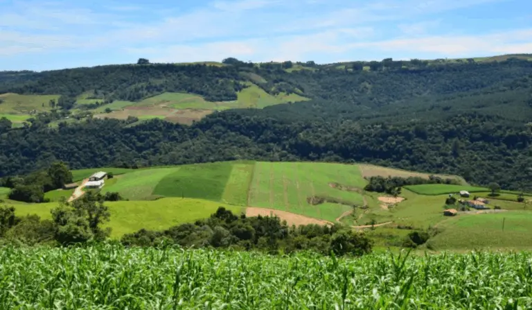 Epagri SC quer impulsionar a modernização do meio rural com base na integração entre inovação, conectividade no campo e sustentabilidade