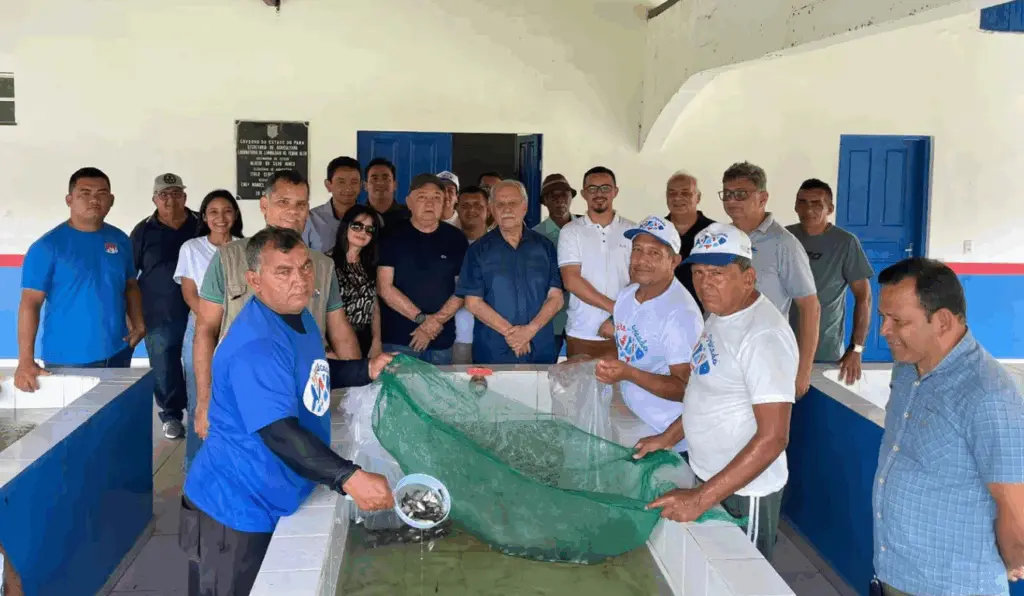 Com os investimentos da Sedap, os resultados positivos são evidentes: a aquicultura no Pará cresceu 35% nos últimos dois anos Com os investimentos da Sedap, os resultados positivos são evidentes: a aquicultura no Pará cresceu 35% nos últimos dois anos