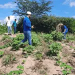 A imagem apresenta produtores que integram o Projeto Ouro Branco, que amplia o cultivo de algodão agroecológico e fortalece a agricultura familiar no Ceará