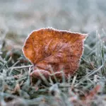 Foto: Anastasia Lashkevich/Pexels