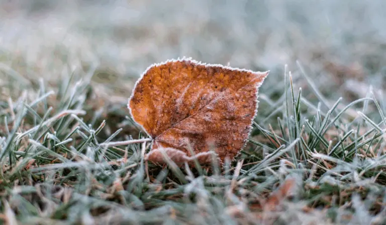 Foto: Anastasia Lashkevich/Pexels
