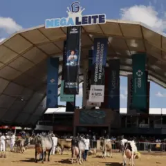 Megaleite 2025 celebra 20 anos e reúne inovações e mais de 1,5 mil animais em Minas Gerais