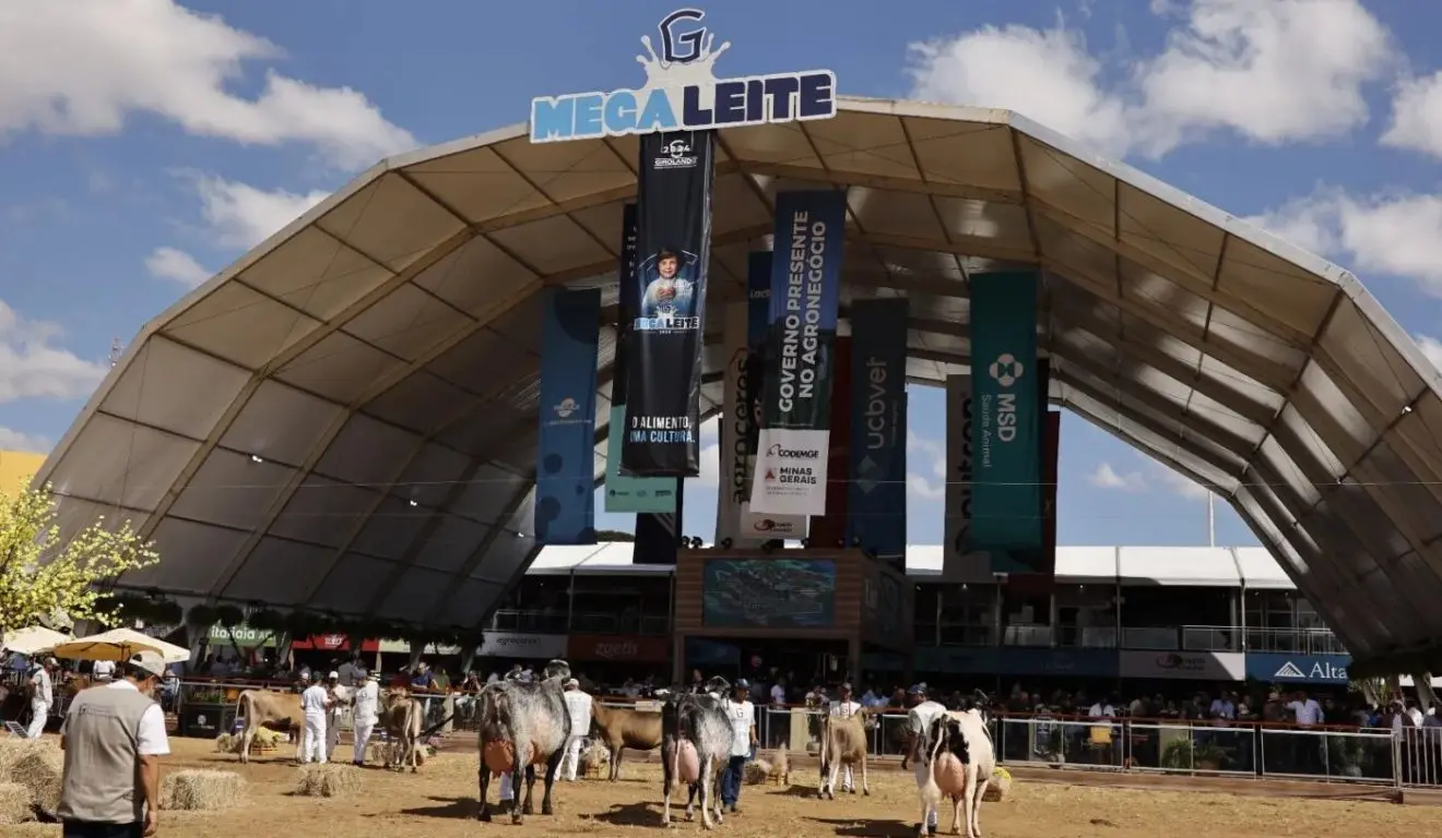 Megaleite 2025 celebra 20 anos e reúne inovações e mais de 1,5 mil animais em Minas Gerais Megaleite 2025 celebra 20 anos e reúne inovações e mais de 1,5 mil animais em Minas Gerais