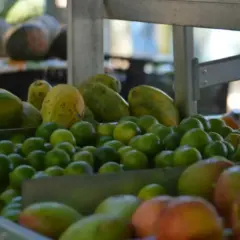 Produção orgânica no Brasil