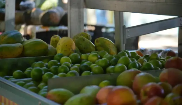 Produção orgânica no Brasil