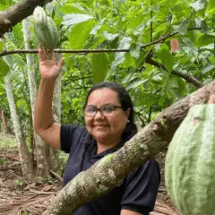 Com a COP30 se aproximando, Belém, cidade que sediará o evento global em novembro, acelera projetos que unem sustentabilidade e valorização dos saberes tradicionais.
