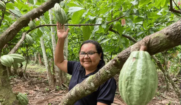 Com a COP30 se aproximando, Belém, cidade que sediará o evento global em novembro, acelera projetos que unem sustentabilidade e valorização dos saberes tradicionais.