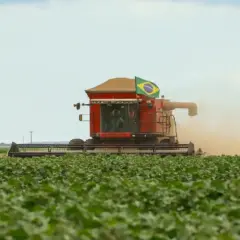 Agronegócio brasileiro