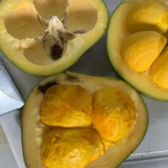 pequi