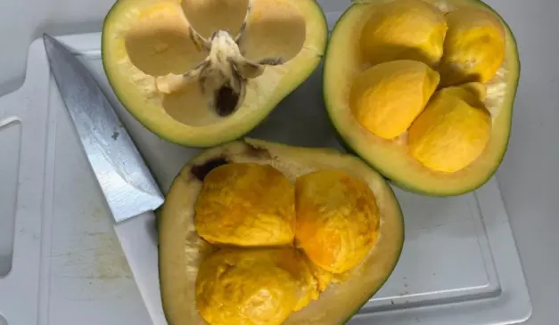 pequi