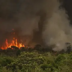 Câmara dos Deputados aprova projeto que endurece penas para crimes ambientais e protege produtores rurais