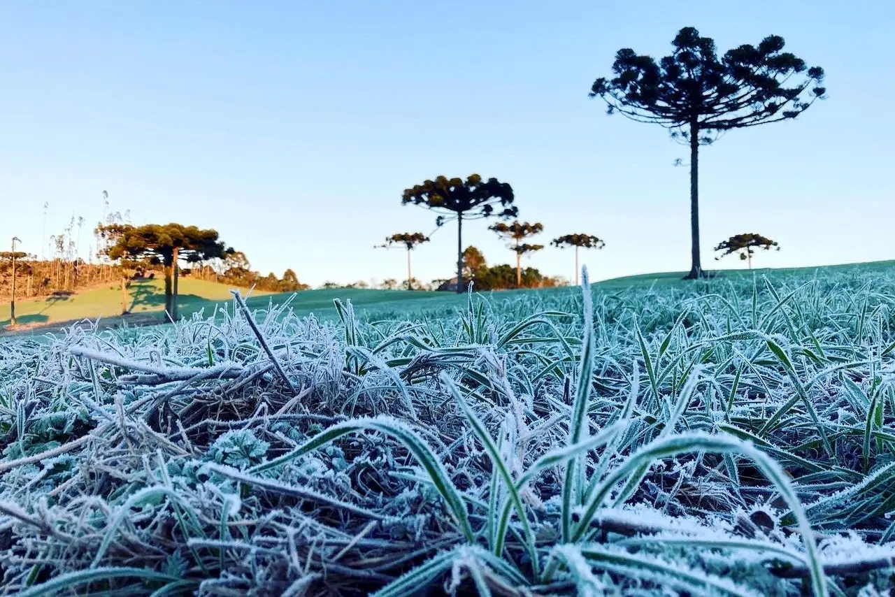 Frio intenso provoca geadas no Sul do Brasil, mas sem impactos nas lavouras de milho de inverno