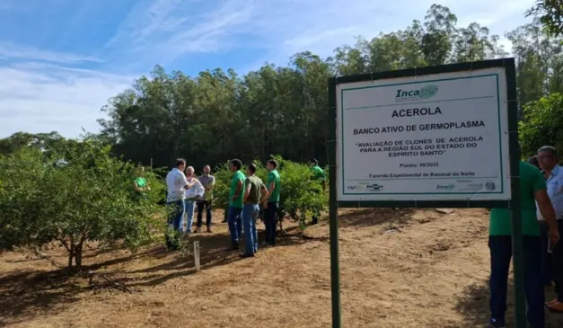 Pequenos produtores de acerola recebem apoio técnico no Espírito Santo