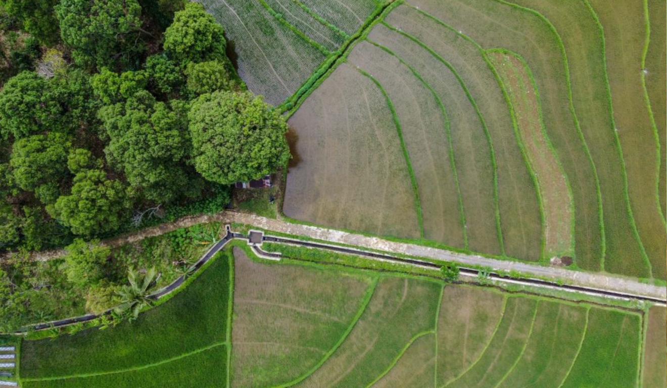 A Secretaria de Agricultura e Abastecimento de São Paulo (SAA) lançou, na última terça-feira (17), durante a Feicorte 2025, em Presidente Prudente (SP), um novo sistema que simplifica a compensação ambiental, integrado ao portal do Sistema Cadastro Ambiental Rural São Paulo (SICAR/SP)