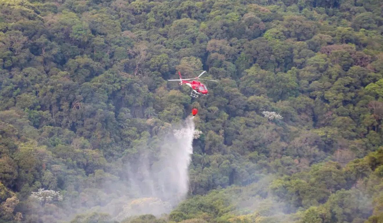 Queimadas recuam no Brasil no primeiro semestre, mas Caatinga e Pampa registram alta