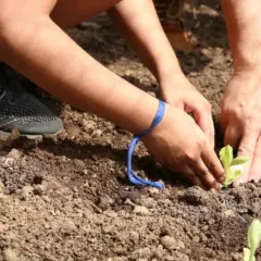 Estudantes de Minas Gerais criam horta escolar sustentável com apoio da Emater