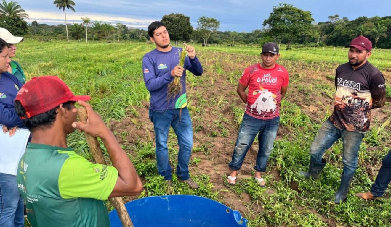 Produtores do Amazonas recebem capacitação sobre adubação de pastagens