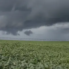 chuva