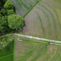 A Secretaria de Agricultura e Abastecimento de São Paulo (SAA) lançou, na última terça-feira (17), durante a Feicorte 2025, em Presidente Prudente (SP), um novo sistema que simplifica a compensação ambiental, integrado ao portal do Sistema Cadastro Ambiental Rural São Paulo (SICAR/SP)