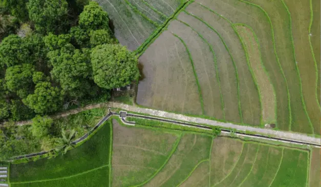 A Secretaria de Agricultura e Abastecimento de São Paulo (SAA) lançou, na última terça-feira (17), durante a Feicorte 2025, em Presidente Prudente (SP), um novo sistema que simplifica a compensação ambiental, integrado ao portal do Sistema Cadastro Ambiental Rural São Paulo (SICAR/SP)