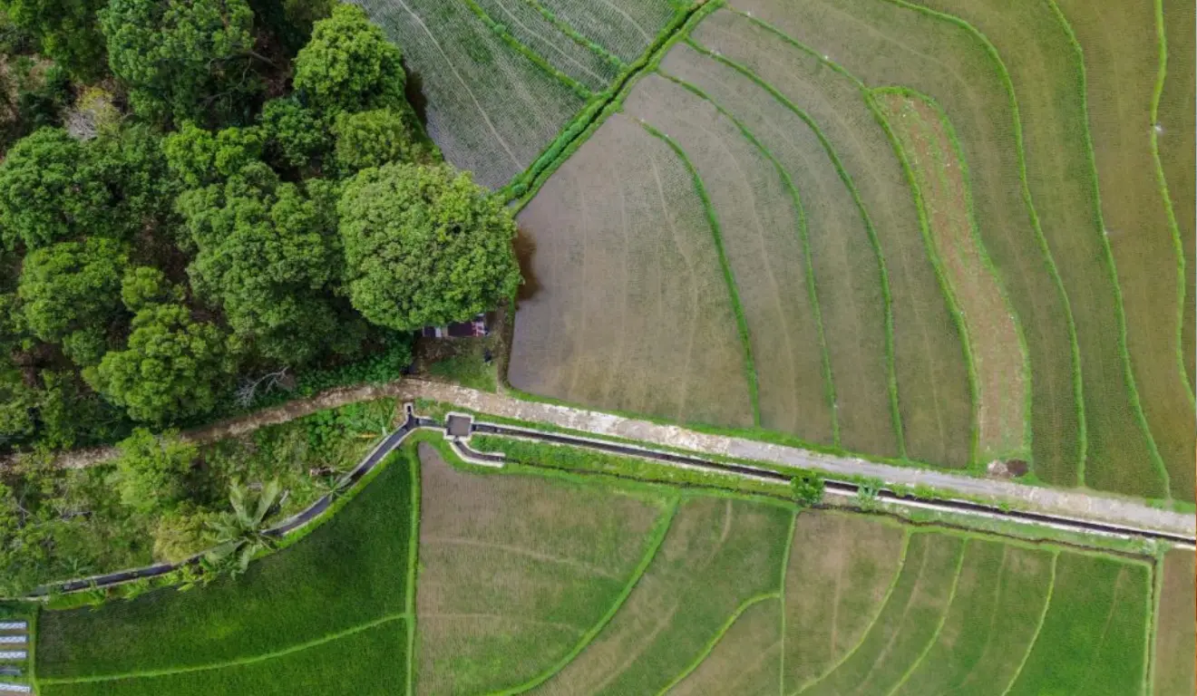 A Secretaria de Agricultura e Abastecimento de São Paulo (SAA) lançou, na última terça-feira (17), durante a Feicorte 2025, em Presidente Prudente (SP), um novo sistema que simplifica a compensação ambiental, integrado ao portal do Sistema Cadastro Ambiental Rural São Paulo (SICAR/SP)