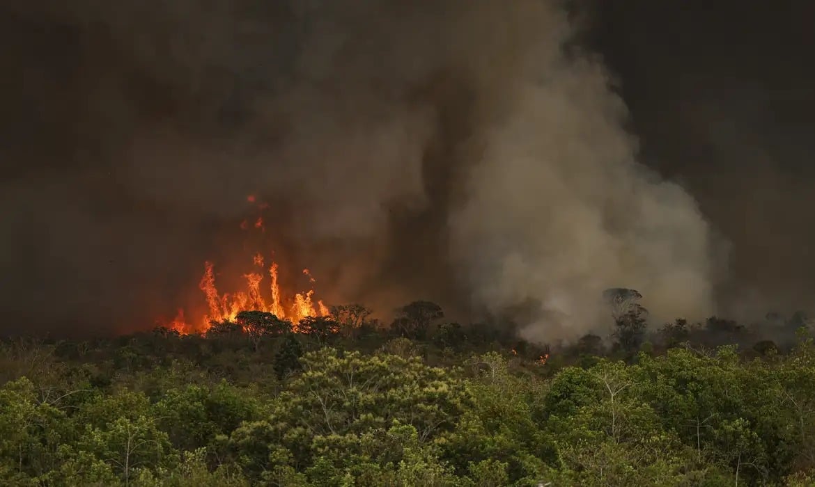 Câmara dos Deputados aprova projeto que endurece penas para crimes ambientais e protege produtores rurais