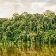 Floresta Amazônica