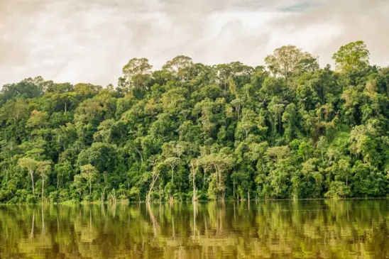 Floresta Amazônica