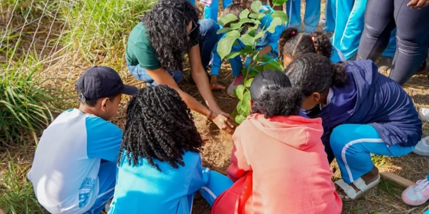Estudantes da Bahia plantam árvores do Cerrado e aprendem na prática o valor da natureza