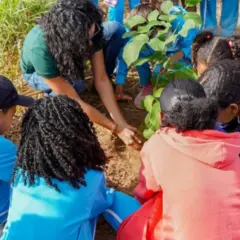 Estudantes da Bahia plantam árvores do Cerrado e aprendem na prática o valor da natureza