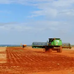 O Mato Grosso do Sul anunciou, na última terça-feira (17), que o vazio sanitário da soja entrou em vigor no estado entre os dias 15 de junho até 15 de setembro, com objetivo de controlar a ferrugem asiática, que pode causar danos devastadores à produção local