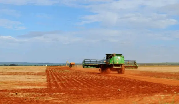 O Mato Grosso do Sul anunciou, na última terça-feira (17), que o vazio sanitário da soja entrou em vigor no estado entre os dias 15 de junho até 15 de setembro, com objetivo de controlar a ferrugem asiática, que pode causar danos devastadores à produção local