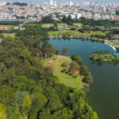 A imagem demonstra a preservação ambiental na cidade de São Paulo
