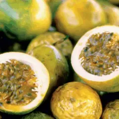 A Companhia Integrada de Desenvolvimento Agrícola de Santa Catarina (Cidasc) definiu o vazio sanitário do maracujazeiro para o ano de 2025