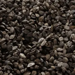 Castanha-da-Amazônia
