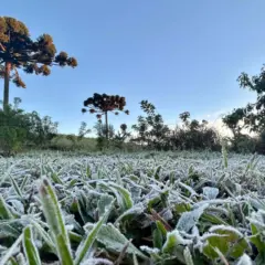 Onda de frio, temperatura, geada