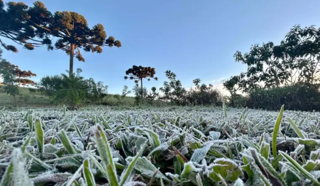 Onda de frio, temperatura, geada