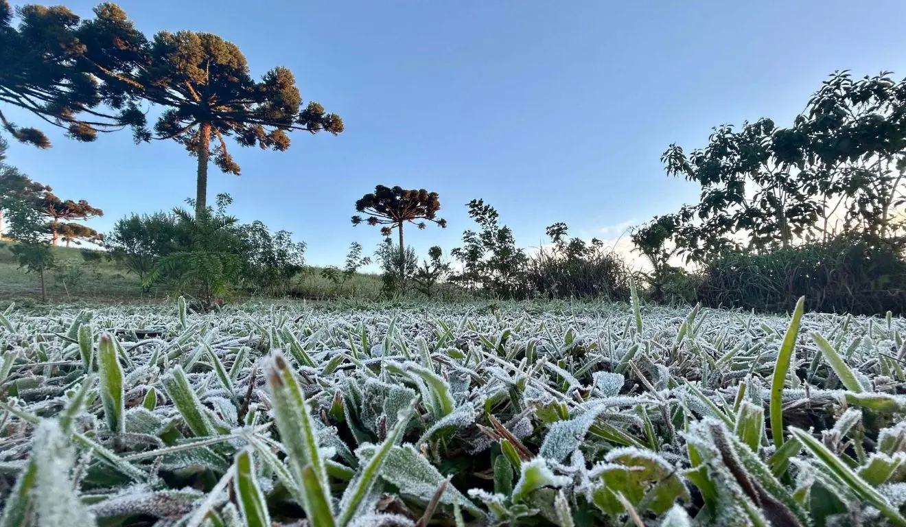 Onda de frio, temperatura, geada