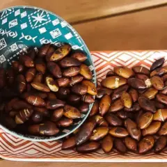Sementes da Amazônia