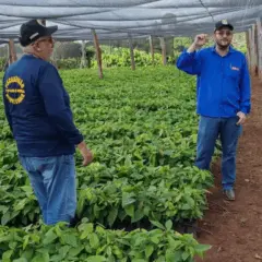 A 2ª edição do Seminário Nacional sobre Insumos Agropecuários (Senagri 2025) começa nesta segunda-feira (10), em Belém, capital do Pará.