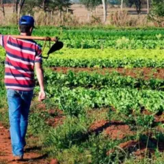 agricultura familiar (1)