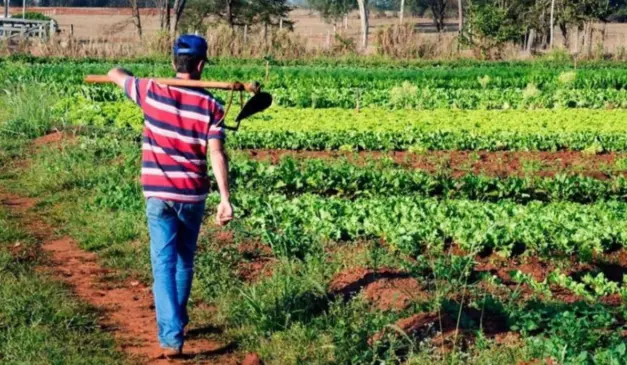 agricultura familiar (1)