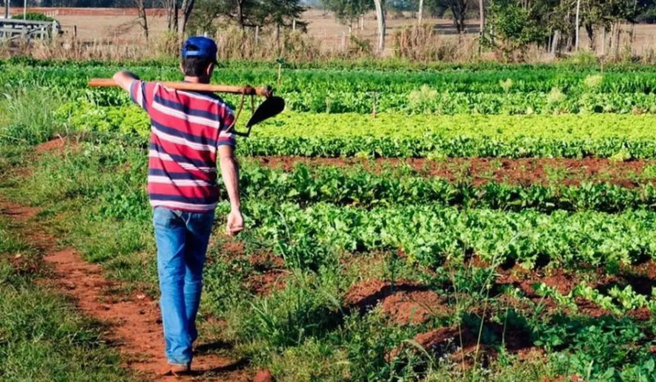 agricultura familiar (1)