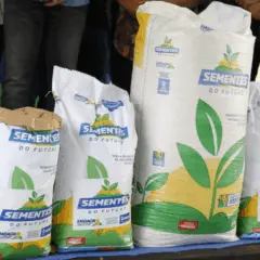 O Governo do Sergipe, através da Secretaria de Estado da Agricultura, Desenvolvimento Agrário e da Pesca (Seagri) e da Empresa de Desenvolvimento Agropecuária (Emdagro), realizou, na última sexta-feira (13), mais uma etapa do programa “Sementes do Futuro”, no povoado de Serrão, em Ilha das Flores (SE)