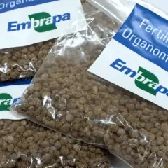 Fertilizante organomineral da Embrapa é criado a partir de resíduos da avicultura e evita perdas por lixiviação