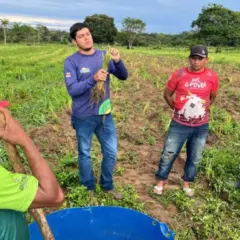 Produtores do Amazonas recebem capacitação sobre adubação de pastagens
