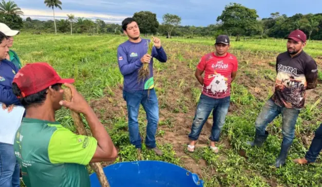 Produtores do Amazonas recebem capacitação sobre adubação de pastagens