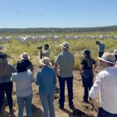 Rota da Pecuária